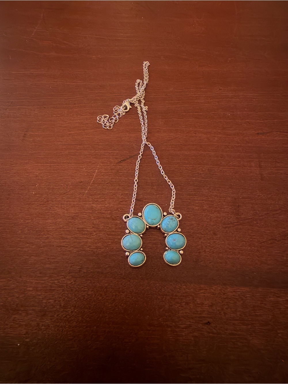 Boho Western Turquoise Country Concert Fashion  Necklace NWOT